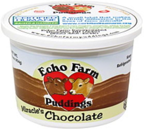 Echo Farm LARGE Chocolate Pudding