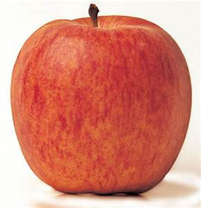 Produce-Macintosh Apples- BAG OF 3