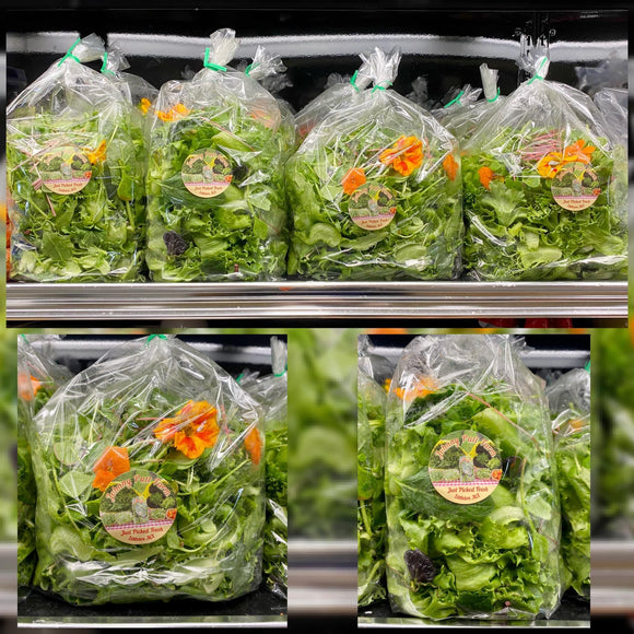 Johnny Putt Farm Salad Greens- Large Bag